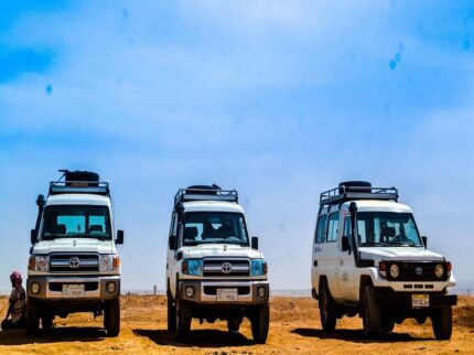 Jeep Safari Trip