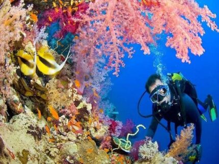 VIP Snorkeling Trip Adventure
