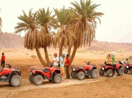 Super Safari Trip