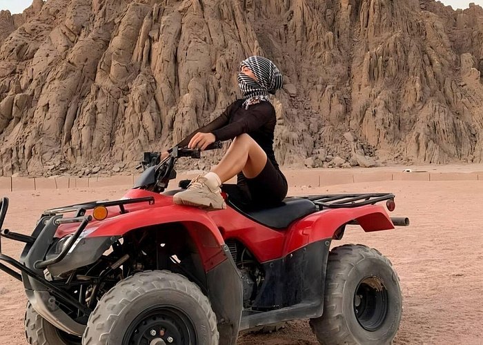 Morning Express Safari (3 Hours)